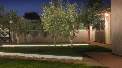 a house with a tree in a yard at night at Spitakia-Cozy & Comfy Apartments 10minutes from the airport in Artemida