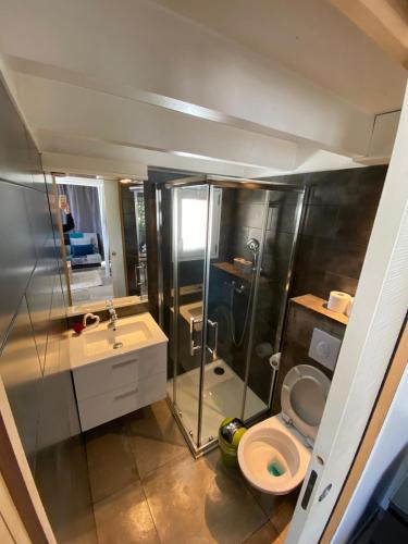 une salle de bain avec toilettes, douche et lavabo dans l'établissement studio au calme pres des plages, à Six-Fours-les-Plages
