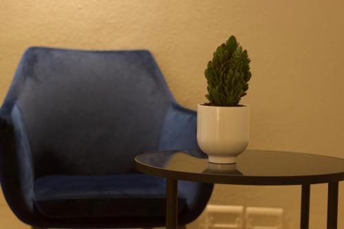 una sedia blu e un tavolo con una pianta in vaso di Arno Boutique a Firenze