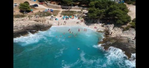 Φυσικό τοπίο κοντά σε αυτή η βίλα