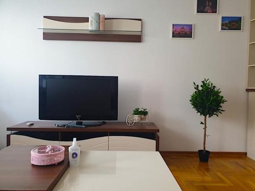 uma sala de estar com televisão numa mesa em Belgradian 011 em Belgrado