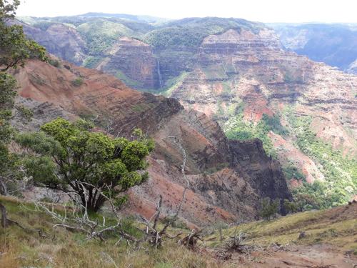 a view of the grand canyon from a mountain at Kiahuna Plantation 96, Poipu Beach, Club Membership, Part Ocean View, Kids Toys in Koloa