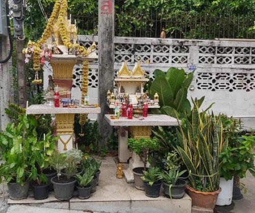 a garden with a bunch of plants and a shrine at ruamsab2 รวมทรัพย์2 in Ban Na Song