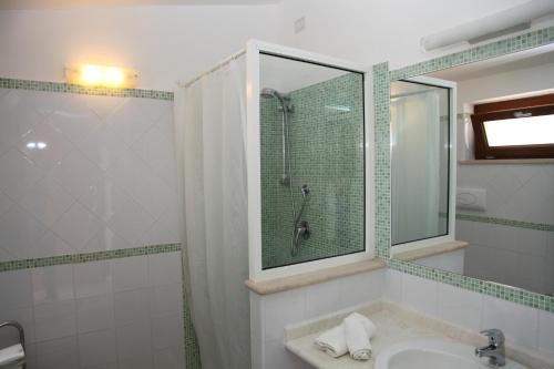 uma casa de banho com um chuveiro, um lavatório e uma cabina de duche em vidro. em Agriturismo al Varco d'oro em Giuliano di Roma