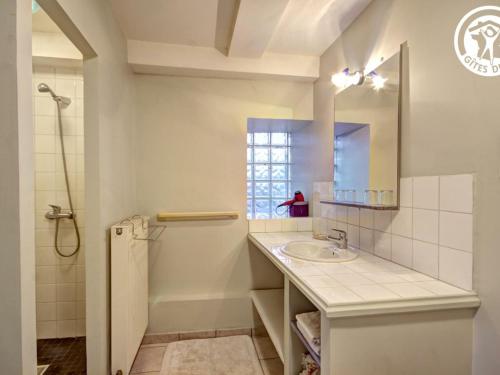 La salle de bains est pourvue d'un lavabo et d'une douche. dans l'établissement Studio Planfoy, 1 pièce, 2 personnes - FR-1-496-134, à Planfoy