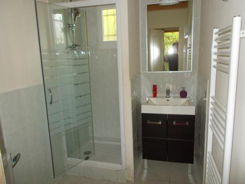 uma casa de banho com um chuveiro, um lavatório e um espelho. em Gîte Aux Amandiers em Fréjus
