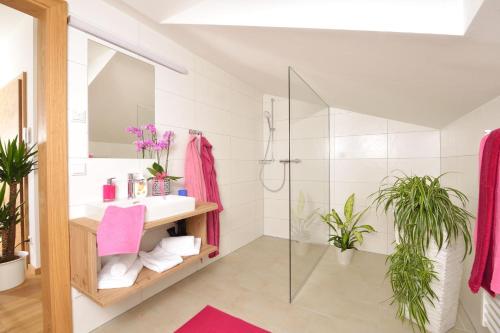 W łazience znajduje się prysznic, umywalka i lustro. w obiekcie Appartements Kolb w mieście Tauplitz