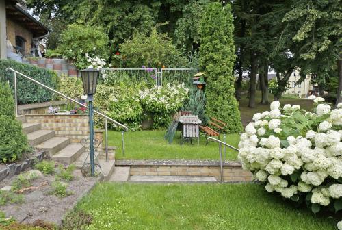 um jardim com um ramo de flores brancas em Ferienwohnung Lychen UCK 1021 em Lychen