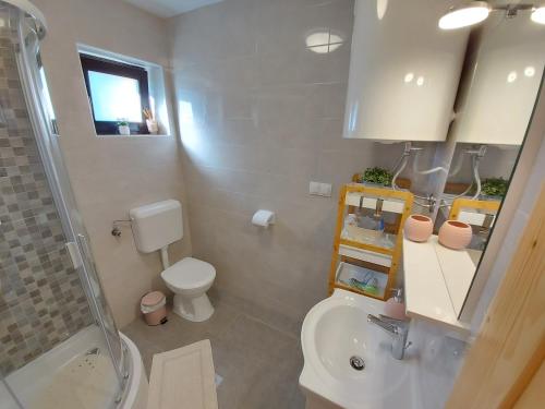 Bilik mandi di Holiday home, Apartman Obajdin