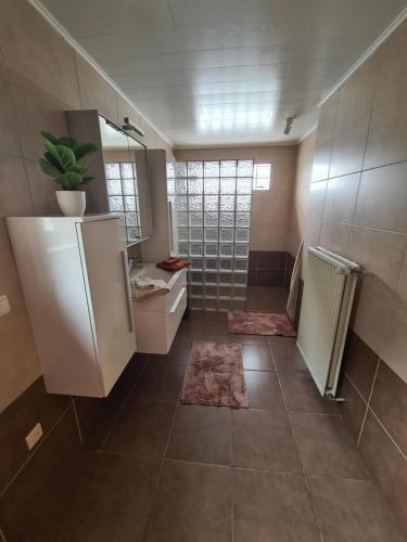 een badkamer met een douche, een wastafel en een spiegel bij Prinsheerlyck in As