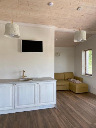 a living room with a sink and a couch at Sodyba Pelėdų medus in Vainekoniai