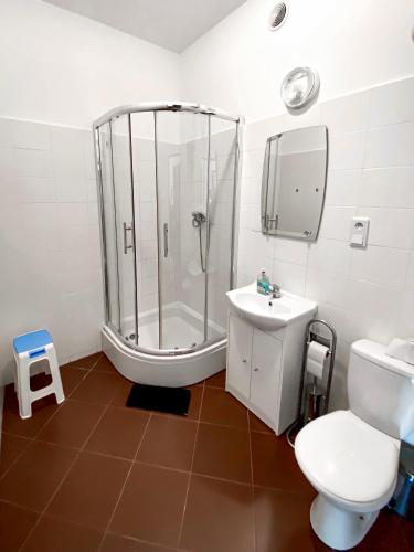 a bathroom with a shower and a toilet and a sink at Schronisko Młodzieżowe PTSM "Alko" in Rzeszów