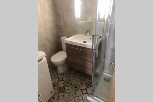 y baño con aseo, lavabo y ducha. en Appartement 3 pièces lumineux au cœur du village, en Saint-Martin-Vésubie