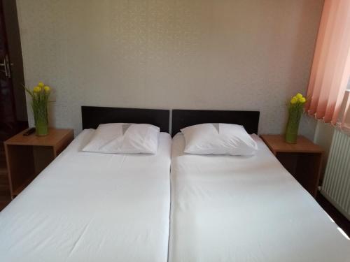 Gallery image of Vila Danlavi Busteni in Buşteni