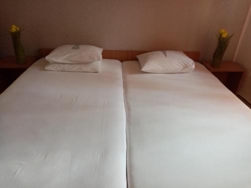 Gallery image of Vila Danlavi Busteni in Buşteni