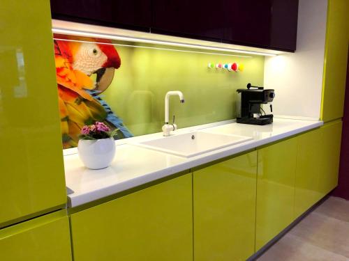 a kitchen with a sink and a picture of a parrot at Ultraviolet relax apart in Sofia