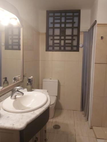 Un baño con lavabo, inodoro y espejo. en Habitacion en apartamento Vegueta, en Las Palmas de Gran Canaria