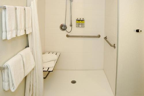 Holiday Inn Express & Suites - Aurora Medical Campus, an IHG Hotel tesisinde bir banyo