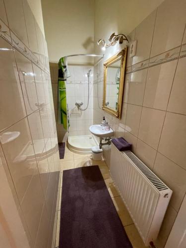 a bathroom with a sink and a toilet and a mirror at Lyrius Vendégház - Debrecen in Debrecen