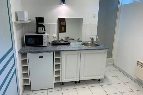 eine Küche mit einer Theke mit einer Spüle und einer Mikrowelle in der Unterkunft Studio "Rêves de gamins" proche du pôle Européen et circuit des 24h, Champagné in Champagné