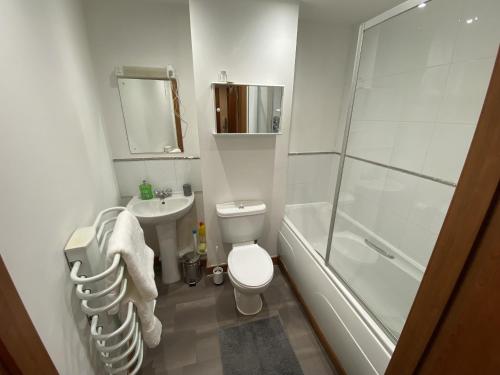 a bathroom with a toilet and a sink and a shower at Toothbrush Apartments - Nr Train Station in Ipswich
