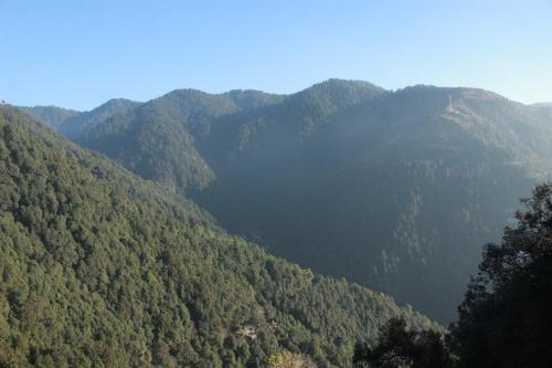auliculiculiculiculiculiculiculiculiculiculiculiculiculiculic at S S INTERNATIONAL in Dalhousie