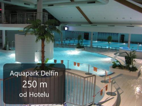 une grande piscine avec un palmier dans un bâtiment dans l'établissement Hotel U Brány, à Uherský Brod