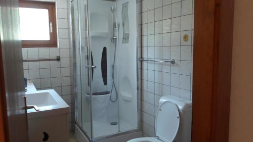 ArbazにあるStudio Le Plan Clouのバスルーム(シャワー、トイレ、シンク付)