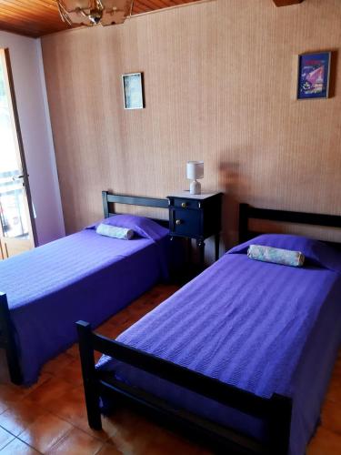 two beds in a room with purple sheets at Maison des trois ormeaux in Cier-de-Luchon