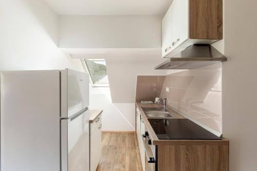 Η κουζίνα ή μικρή κουζίνα στο Apartmaji Rupnik