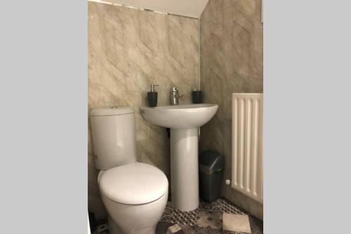 La salle de bains est pourvue de toilettes et d'un lavabo. dans l'établissement Adorable First Floor 1-bedroom Loft with decking, à Omagh