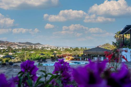 a view of a resort swimming pool with purple flowers at 4reasons hotel + bistro | 12+ in Yalıkavak