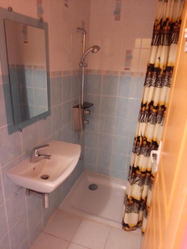 Ванная комната в GITE AUBERGE EDELWEISS