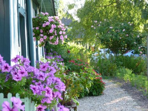 a bunch of flowers on the side of a house at Chambre d'hôtes Au Fil De L'eau in Jumièges