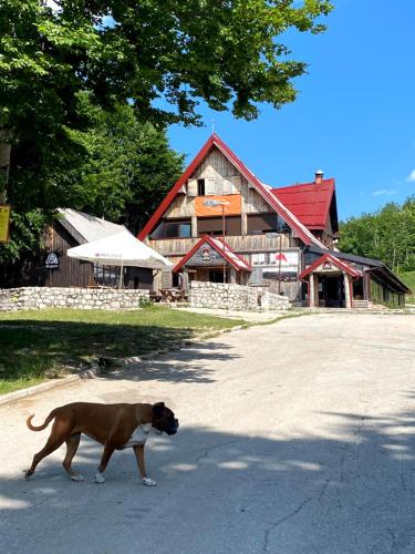 Turistički centar Vučje