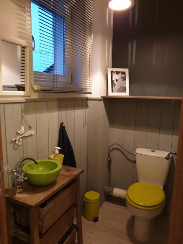 a bathroom with a green sink and a toilet at Gîte Alsace maison indépendante proche Strasbourg in Mutzig
