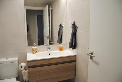 a bathroom with a sink and a toilet and a mirror at Apartamento Dulcinea in Alcalá de Henares