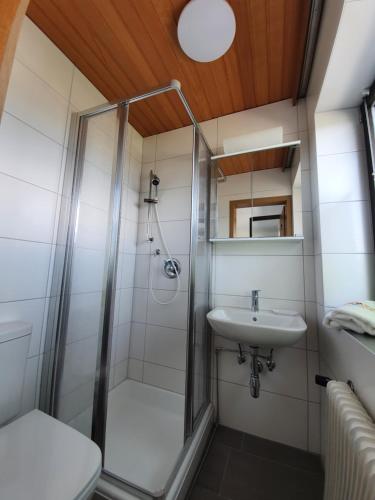 uma casa de banho com um chuveiro e um lavatório. em Ferienwohnung Sophia em Innsbruck