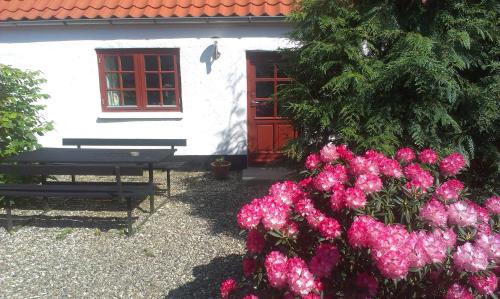 a white house with a red door and pink flowers at Vranum Guesthouse in Viborg