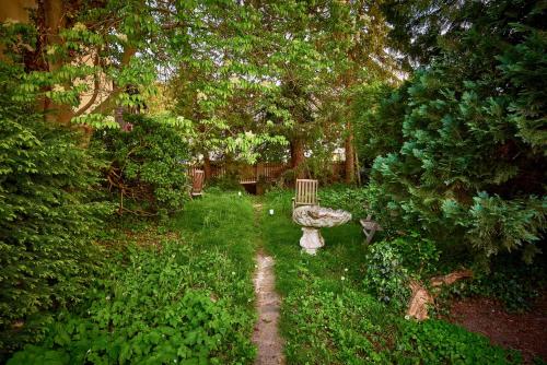 a garden with a bench and trees and bushes at Altstadt Apartments Melk mit Sauna in Melk