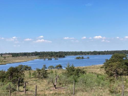 a view of a river with trees in the distance at Kom tot rust in The Forest in Putte
