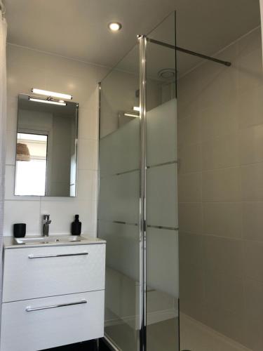 La salle de bains est pourvue d'une douche en verre et d'un lavabo. dans l'établissement Le 84, à Courseulles-sur-Mer