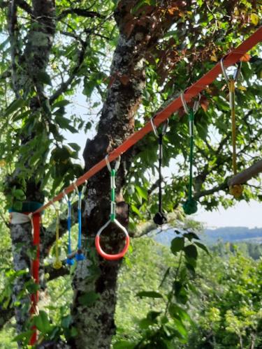 een boom met kleurrijke hangers eraan. bij Villa poupa in Châtillon-sur-Cher