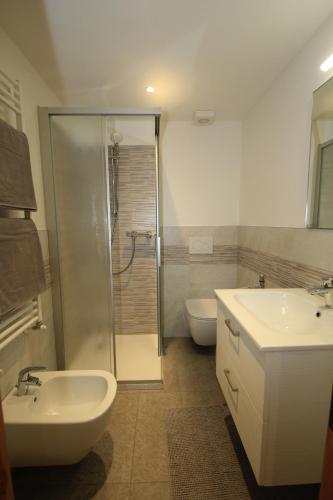uma casa de banho com um chuveiro, um lavatório e um WC. em Anemone Home em Santa Caterina di Valfurva