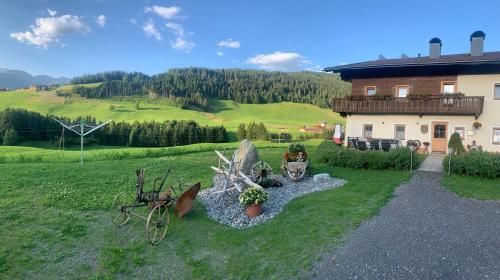 a yard with a house and some plants in the grass at Ferienhaus Köck in Kartitsch
