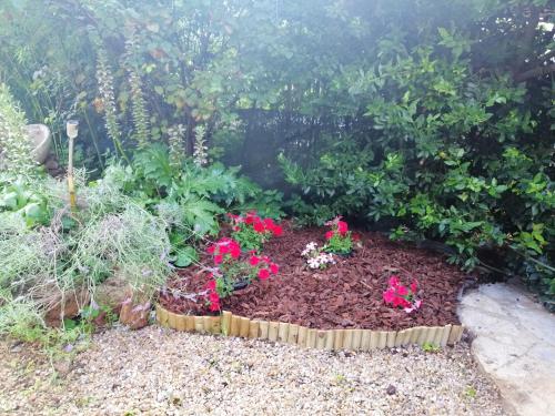 a garden with a bed of flowers and plants at Appartement charmant à Villeneuve avec jardin in Villeneuve-dʼAveyron