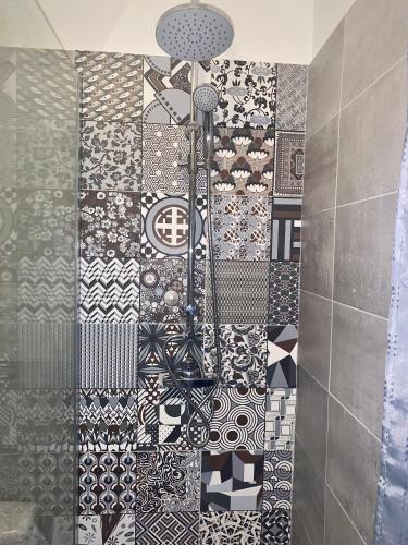 La salle de bains est pourvue d'une douche et d'un mur carrelé. dans l'établissement Studio Magali, à Tarascon