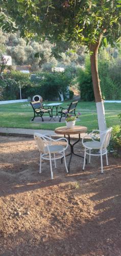 Gallery image of Athina Studio Apartments in Kerveli