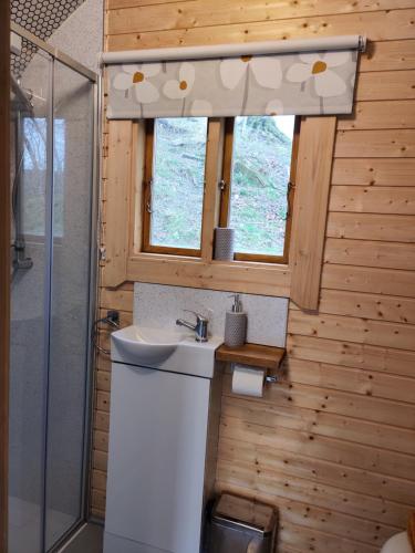 馬漢萊斯的住宿－Tan-y-Dderwen Pod，一间带水槽和淋浴的浴室