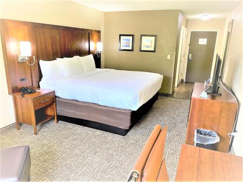 a hotel room with a bed and a television at Comfort Inn Charleston South in Charleston